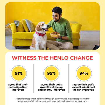 Henlo Chicken & Vegetable Baked Dry Food for Adult Dogs | 100% human grade ingredients