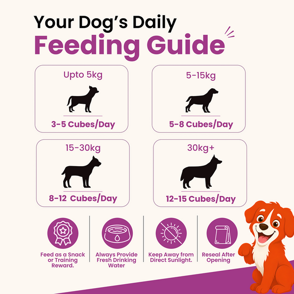 Nootie Rewards Woof Soft Chicken Cubes Dogs Treats