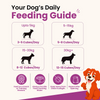 Nootie Rewards Woof Soft Chicken Cubes Dogs Treats Dog Treats + Others Nootie