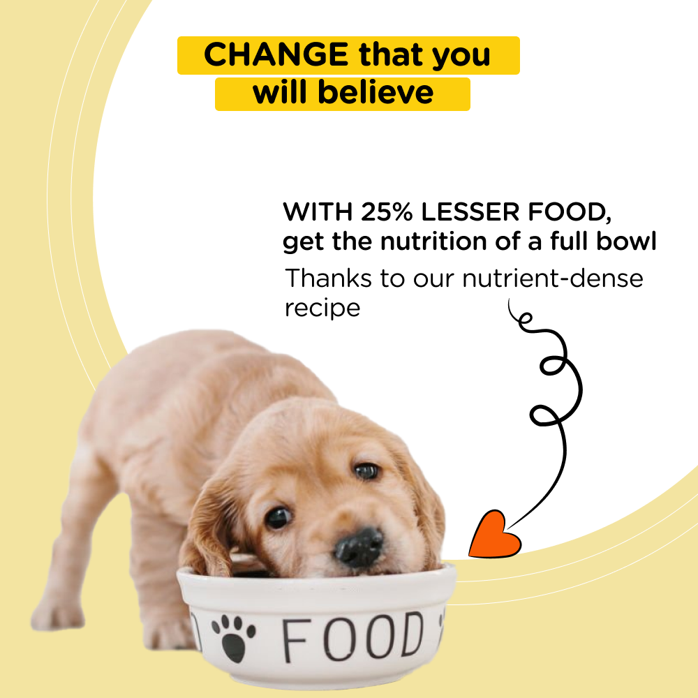 Henlo Baked Adult Dry Food and Royal Canin Chunks In Gravy Labrador Retriever Adult Wet Dog Food Combo Exclusive Combo Exclusive Combo
