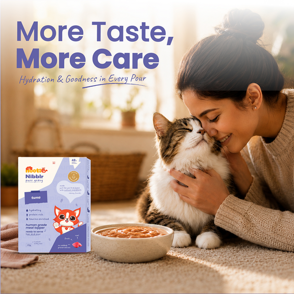 Nootie Nibblr Purr Tuna Gravy Cat Wet Food