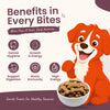 Nootie Chicken & Peanut Butter Flavour Biscuits Adult Dog Treats Dog Treats + Others Nootie