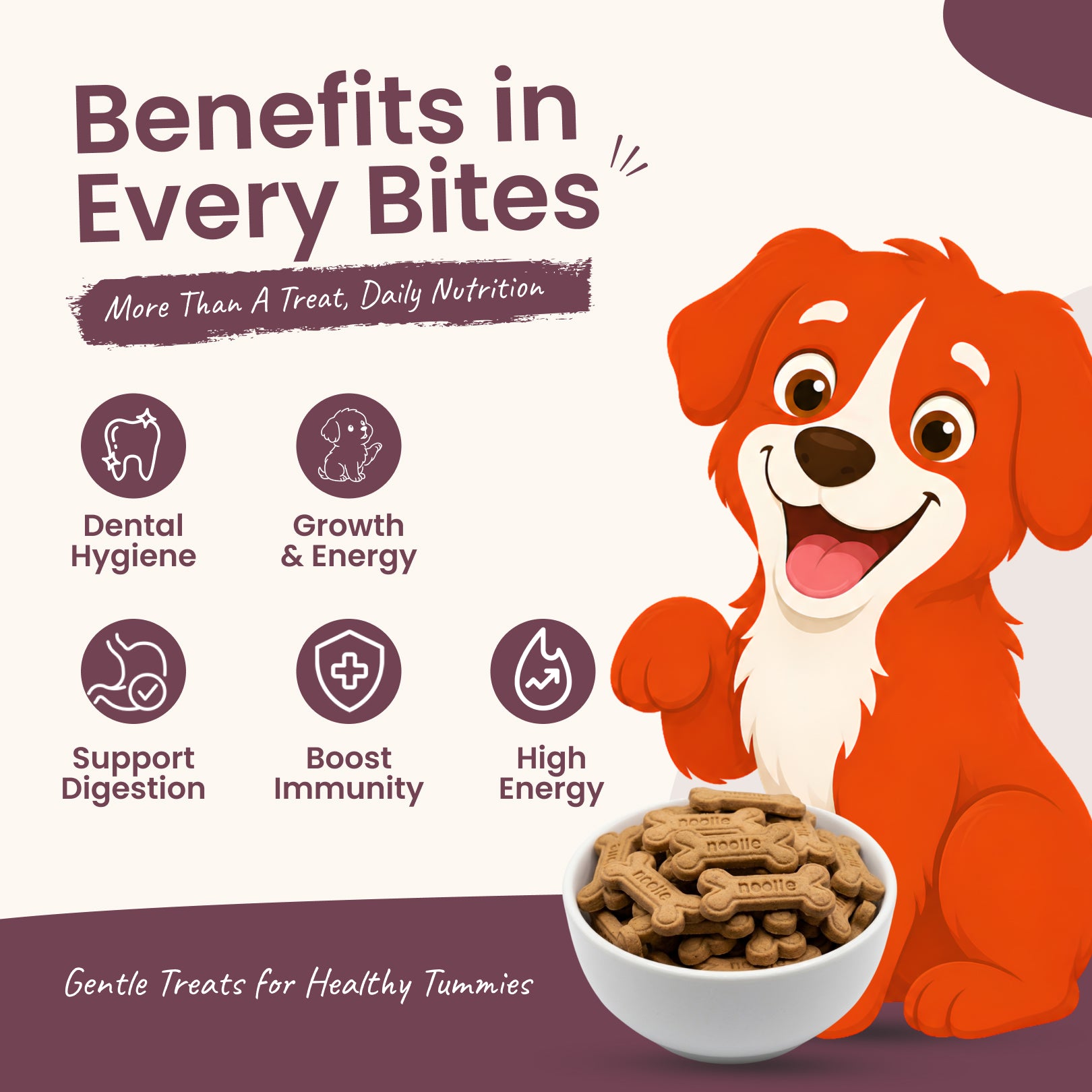 Nootie Chicken & Peanut Butter Flavour Biscuits Adult Dog Treats Dog Treats + Others Nootie