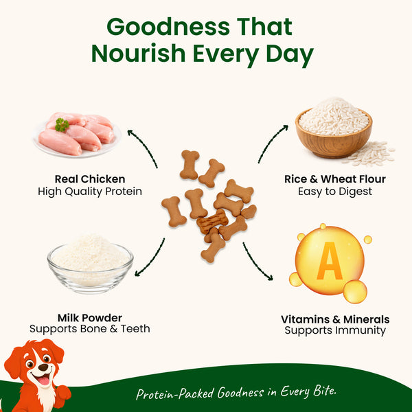 Nootie Chicken & Peanut Butter Flavour Biscuits Adult Dog Treats