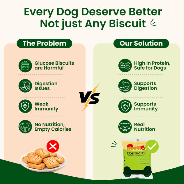 Nootie Chicken & Peanut Butter Flavour Biscuits Adult Dog Treats