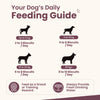 Nootie Chicken & Peanut Butter Flavour Biscuits Adult Dog Treats Dog Treats + Others Nootie