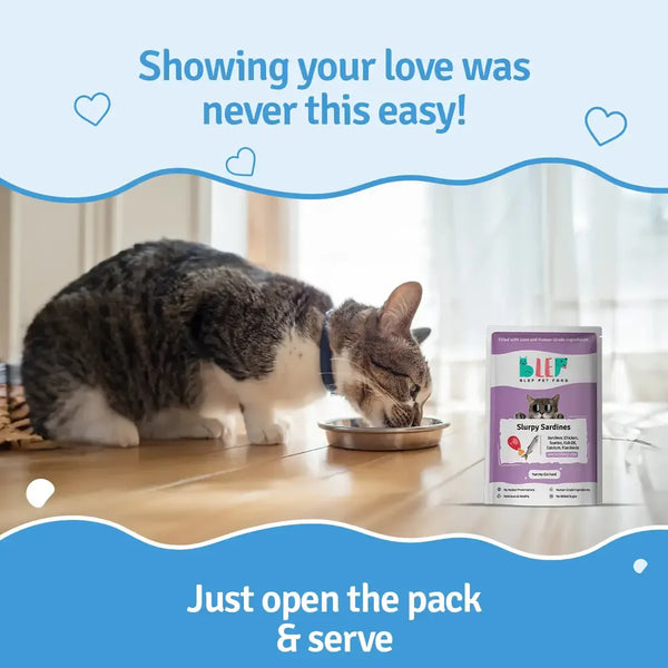 BLEP Slurpy Sardines Cat Wet Food