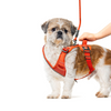 Kibbo Reflective Vest Harness with Dual Lock Buckle for Dogs (Red)