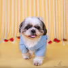 The Papaw Cartel Soft Cotton Embellished Koti Kurta for Dogs & Cats (Powder Blue) Both-Clothing & Accessories The Papaw Cartel Dropship