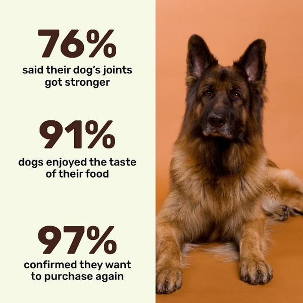Absolut Pet Chicken Bone Broth for Dogs