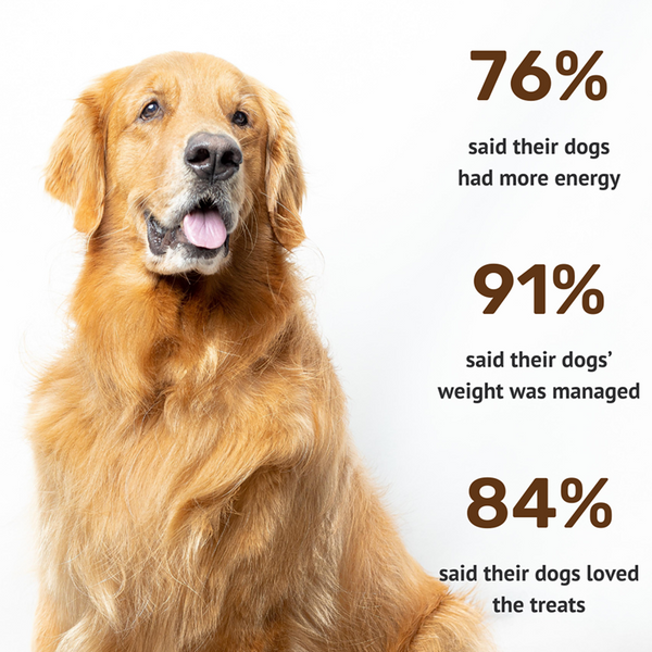 Absolut Pet High Protein Low Fat Chicken Jerky Treats for Dogs