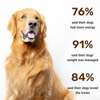 Absolut Pet High Protein Low Fat Chicken Jerky Treats for Dogs Dog Treats + Others Absolut Pet