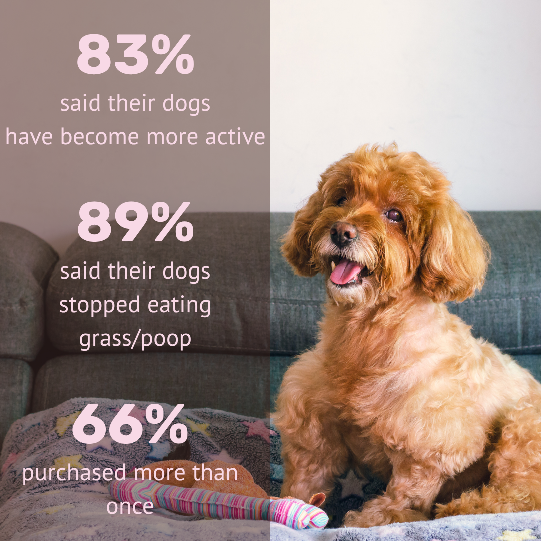 Absolut Pet Bone & Muscle Multivitamin Chews Dogs Treat Dog Treats + Others Absolut Pet