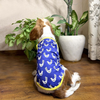 Pets Way Stay Chill Vest Combo for Dogs (Pack of 3) Dogs-Clothing & Accessories Pets Way Dropship