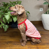 Pets Way Cool Pups Vest Combo for Dogs (Pack of 3) Dogs-Clothing & Accessories Pets Way Dropship