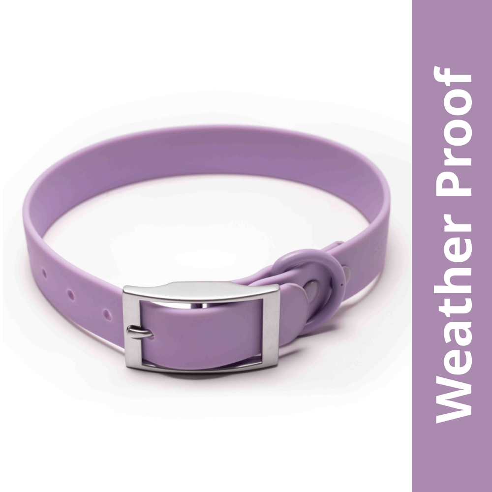 Furry & Co Weatherproof Collar for Dogs (Lilac) Dogs-Collar, Leashes, harnesses Furry & Co S:7-12in Neck