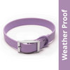 Furry & Co Weatherproof Collar for Dogs (Lilac) Dogs-Collar, Leashes, harnesses Furry & Co S:7-12in Neck