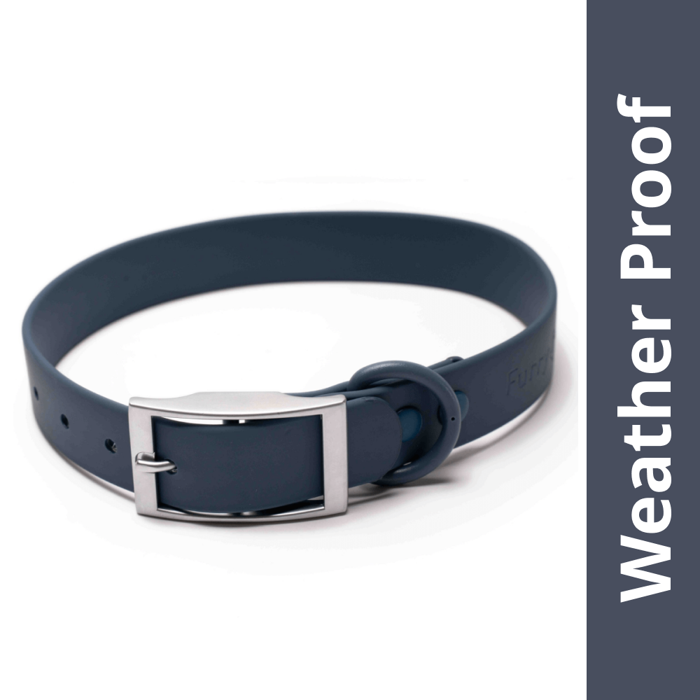Furry & Co Weatherproof Collar for Dogs (Indigo Blue) Dogs-Collar, Leashes, harnesses Furry & Co L:14-18in Neck