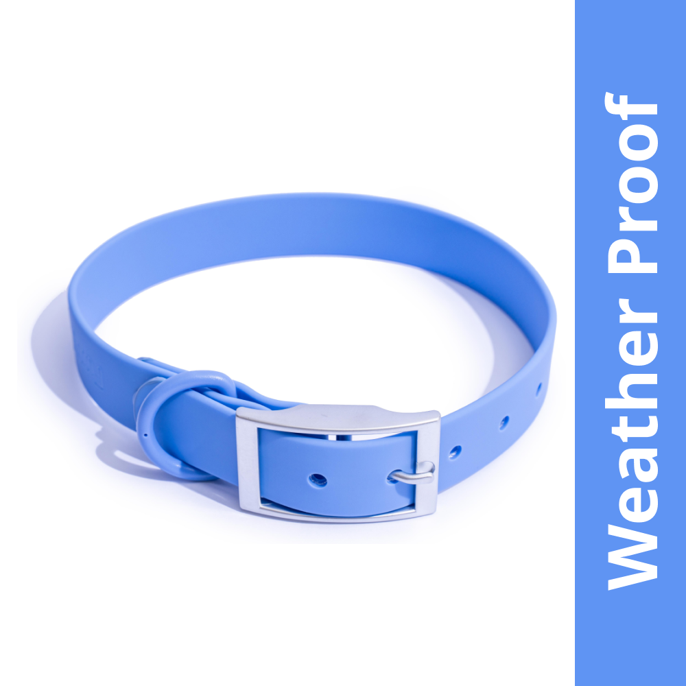 Furry & Co Weatherproof Collar for Dogs (Everest Blue) Dogs-Collar, Leashes, harnesses Furry & Co XS/S:7-12in Neck