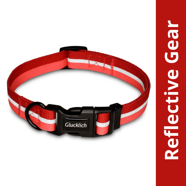 Glucklich Everyday Reflective Collar for Dogs (Cherry Pink)