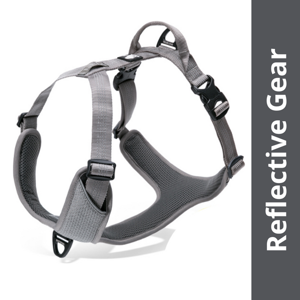 Truelove Harness with Reflective Fabric for Dogs (Gray)