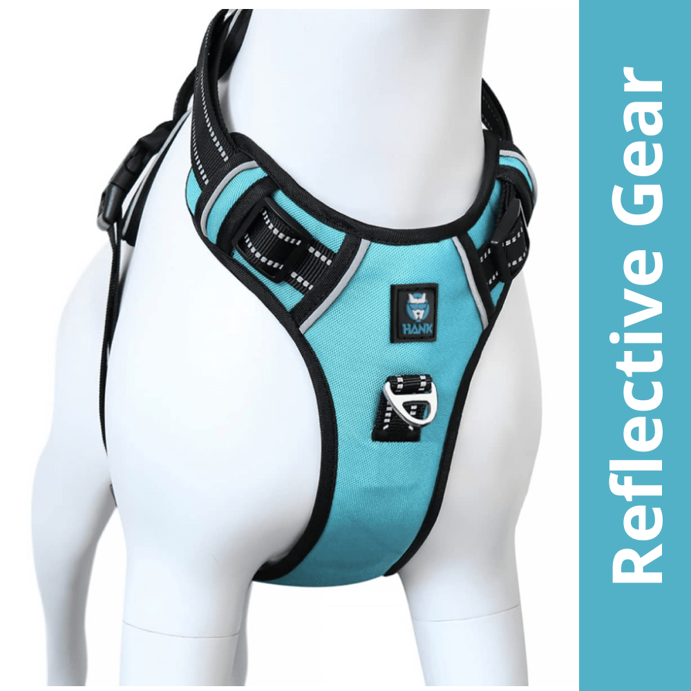 Hank 3M Reflective Harness for Puller Dogs (Cyan Blue) Dogs-Collar, Leashes, harnesses Hank M:22-27in Chest