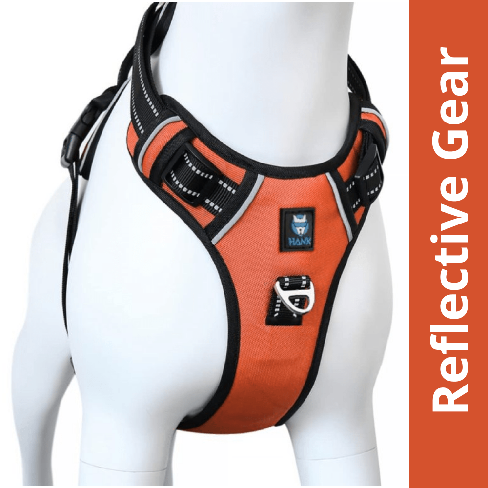 Hank 3M Reflective Harness for Puller Dogs (Neon Orange) Dogs-Collar, Leashes, harnesses Hank S:17-22in Chest