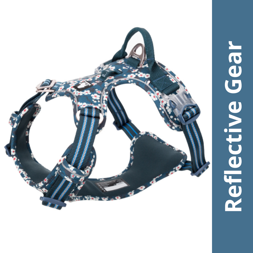 Truelove Floral No Pull 3M Reflective Harness for Dogs (Saxony Blue) Dogs-Collar, Leashes, harnesses True Love XS:13-17in Girth