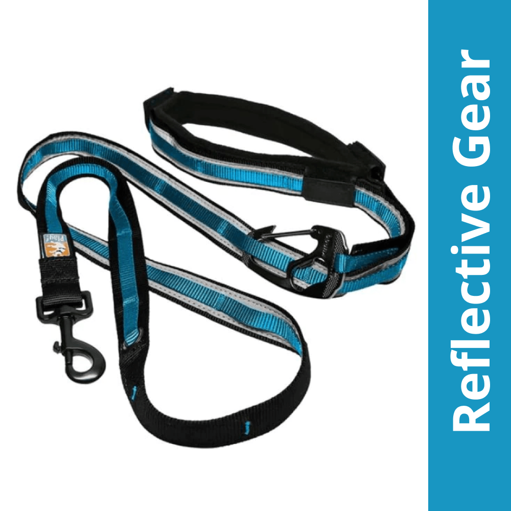 Kurgo Quantum 6 in 1 Dog Reflective Leash (Coastal Blue) Dogs-Collar, Leashes, harnesses Kurgo 6ft Length