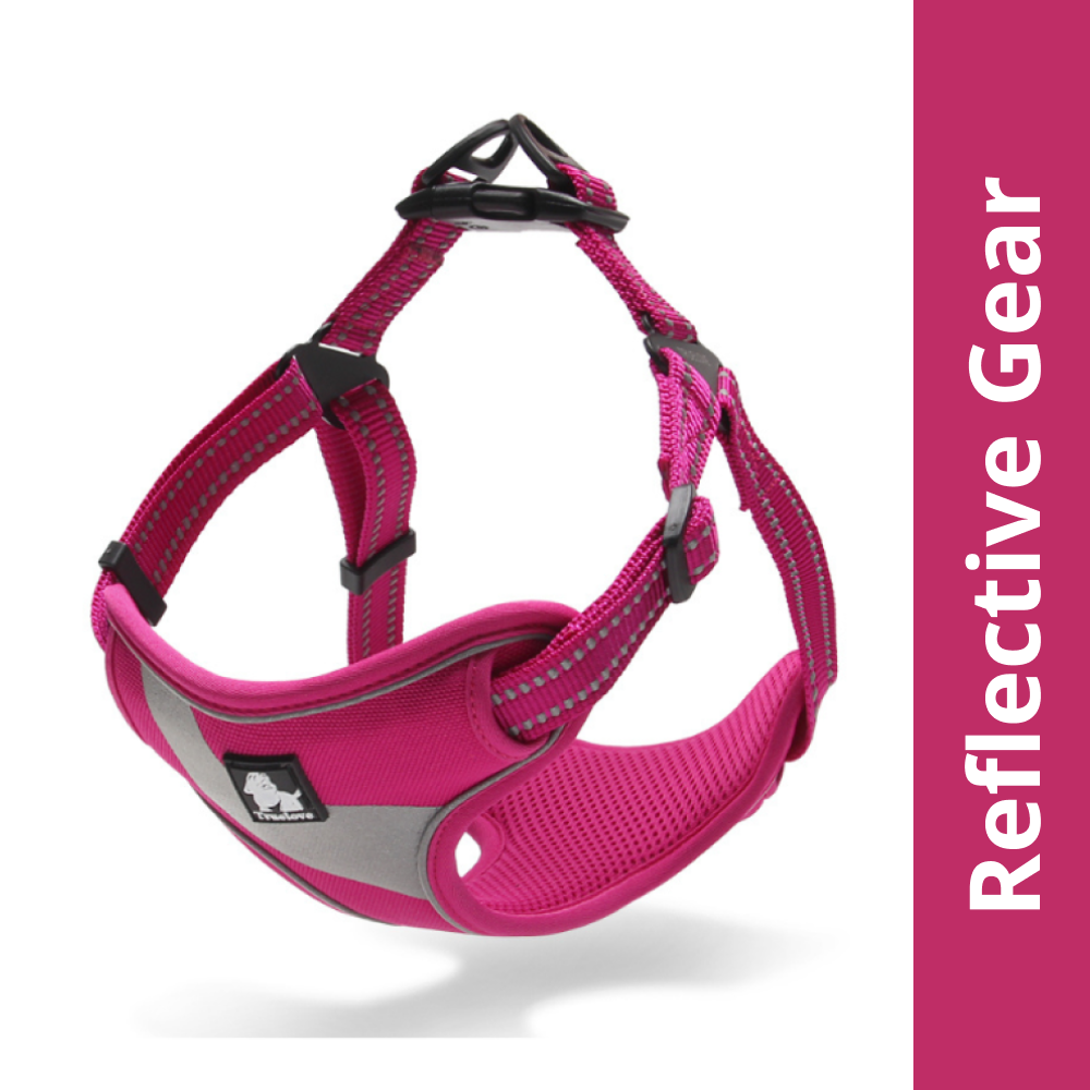 Truelove Step in with Duraflex Buckles & 3M Reflective Harness for Dogs (Fuschia) Dogs-Collar, Leashes, harnesses True Love S:12-17in Chest