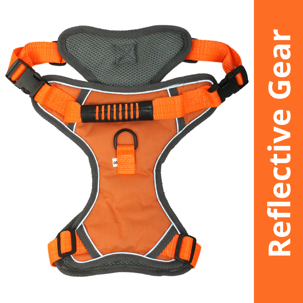 Pawpourri Adjustable Reflective Padded Harness for Dogs (Orange) Dogs-Collar, Leashes, harnesses Pawpourri Dropship S:16-21in Chest