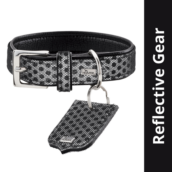 Hunter Hella Reflect Collar for Dogs (Black)