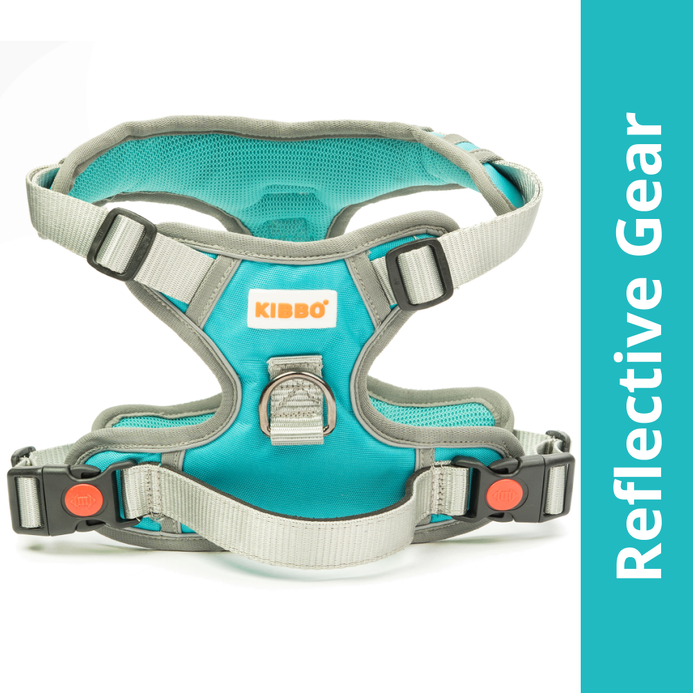 Kibbo Reflective Vest Harness with Dual Lock Buckle for Dogs (Sea Green) Dogs-Collar, Leashes, harnesses Kibbo S:21-24in Girth