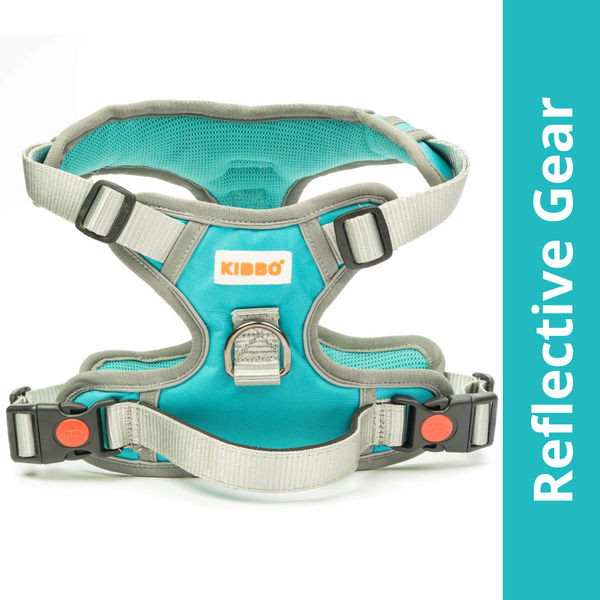 Kibbo Reflective Vest Harness with Dual Lock Buckle for Dogs (Sea Green)