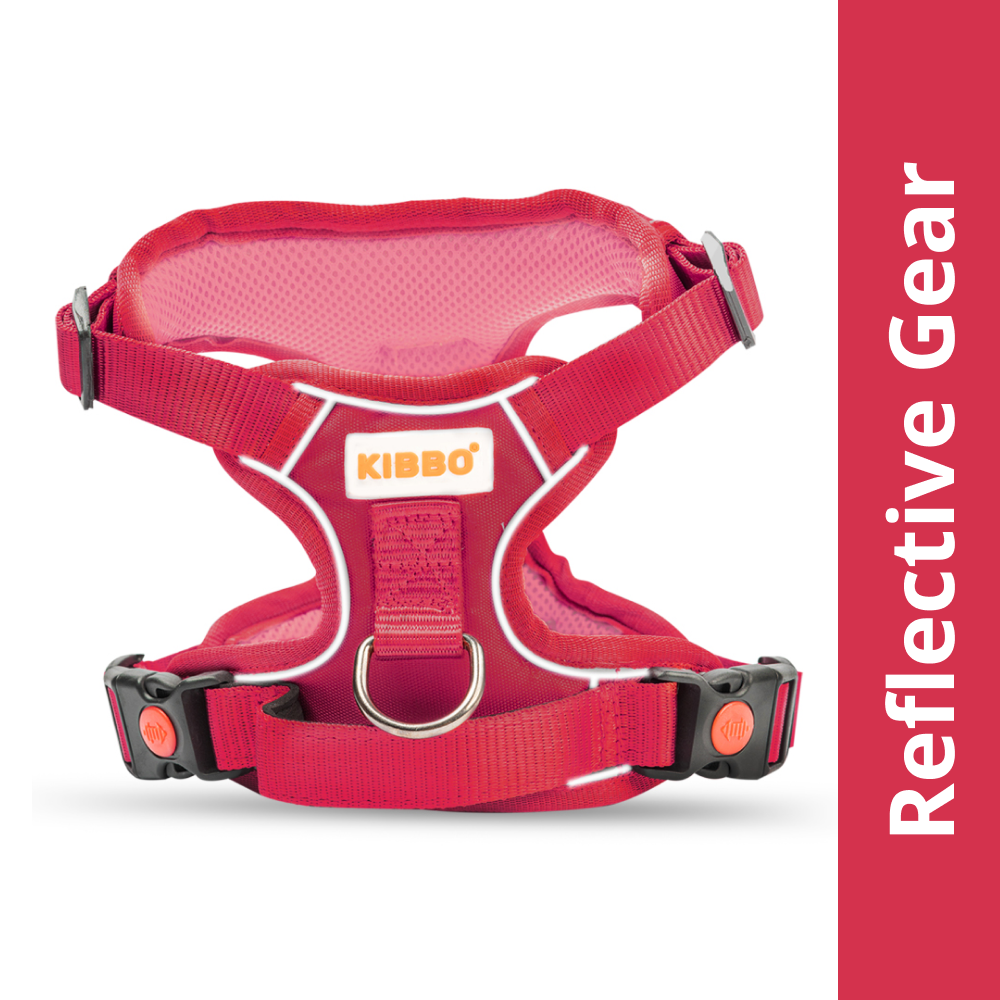 Kibbo Reflective Vest Harness with Dual Lock Buckle for Dogs (Pink) Dogs-Collar, Leashes, harnesses Kibbo S:21-24in Girth