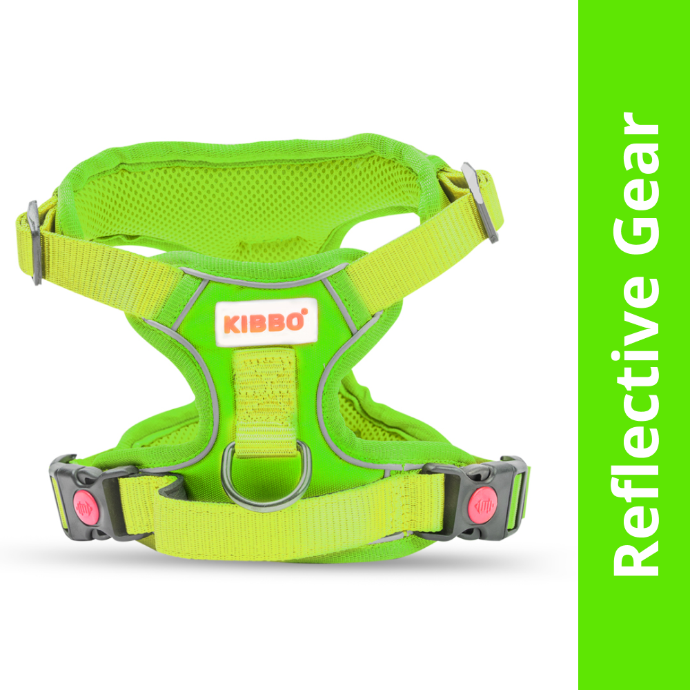 Kibbo Reflective Vest Harness with Dual Lock Buckle for Dogs (Parrot Green) Dogs-Collar, Leashes, harnesses Kibbo S:21-24in Girth