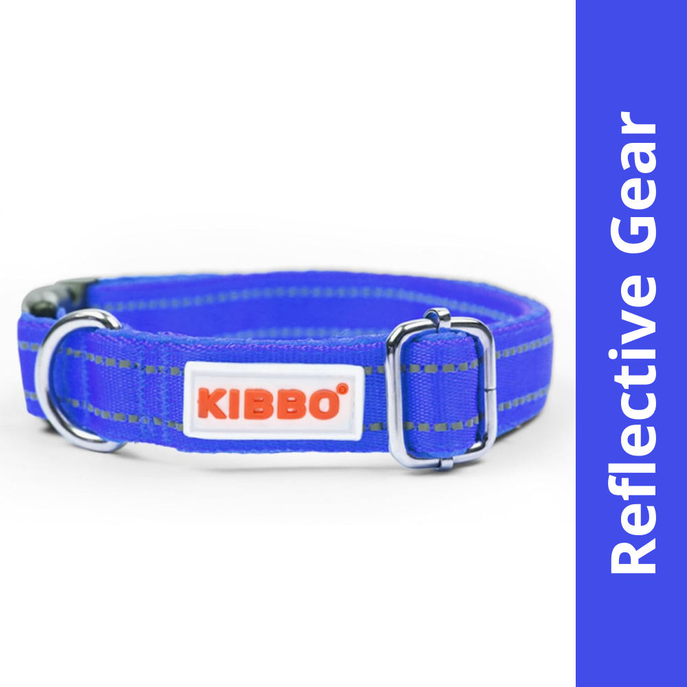 Kibbo Premium Reflective Padded With Soft Mesh Padding & Adjustable Design Collar for Dogs (Blue) Dogs-Collar, Leashes, harnesses Kibbo M