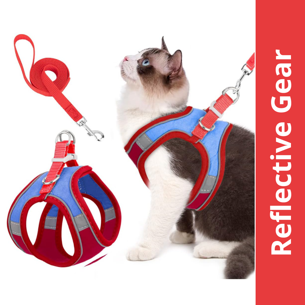 QPets Reflective Mesh Vest Harness with Leash for Cats (Blue/Red) Cats-Collar, Leashes, harnesses Q pets M:12-14in Chest