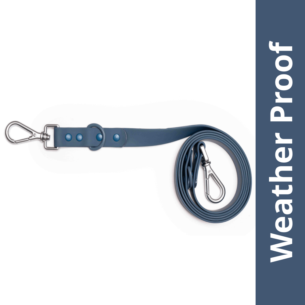 Furry & Co Weatherproof Leash for Dogs (Indigo Blue) Dogs-Collar, Leashes, harnesses Furry & Co M:20mm Width