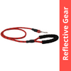Skatrs Reflective Nylon Rope Leash for Dogs (Red) Both-Collar, Leashes, harnesses Skatrs 12mm
