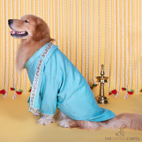 The Papaw Cartel Stylish Zardos Sherwani with Dupatta for Dogs & Cats (Blue)