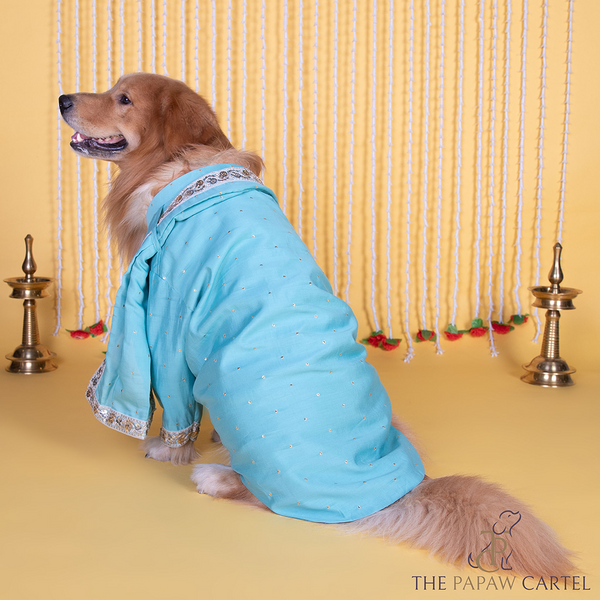 The Papaw Cartel Stylish Zardos Sherwani with Dupatta for Dogs & Cats (Blue)