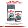 Royal Canin Hairball Care Wet Cat Food (85g Pouch) Cats-Wet Food Royal Canin