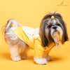 The Papaw Cartel Sunrise Koti Kurta Set with Mirror Embroidery for Dogs (Yellow)