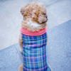 Pets Way Superstar Reversible Check Winter Jacket for Dogs (Coral) Dogs-Clothing & Accessories Pets Way Dropship