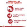 Royal Canin Instinctive Adult Gravy Cat Wet Food Cats-Wet Food Royal Canin