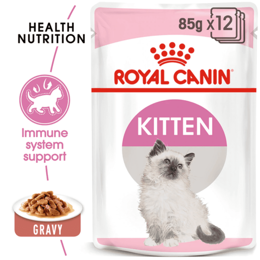 Royal Canin Persian Dry Food and Gravy Kitten Cat Wet Food Combo