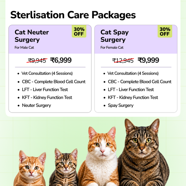 Extra 5% off on Surgery Packages