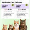 Extra 5% off on Surgery Packages Clinic Offline Services