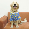 Pets Way Sunlight Winter Sweatshirts for Dogs (Blue) Dogs-Clothing & Accessories Pets Way Dropship XS